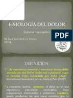 Fisiología del dolor: Sistema nociceptivo y vías del dolor