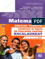 Breviar matematica-M1-bac-niculescu081