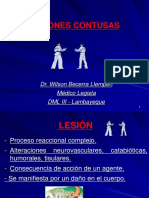 Lesiones contusas guía