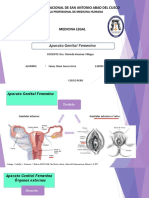 Anatomía Aparato Genital Femenino-Vagina