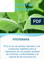 Fitoterapeuticos 151212183313