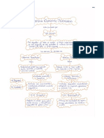 trabajao sistema nervioso periferico anatomia