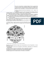 Cópia de Lista Classificacao