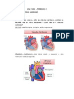 Anatomia do coração e vasos sanguíneos