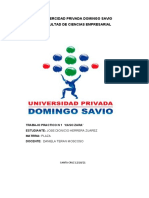 Univercidad Privada Domingo Savio