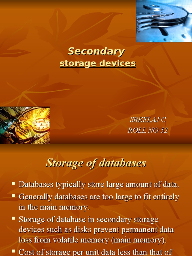 Secondary Storage Devices PDF Disk Storage Computer Data Storage