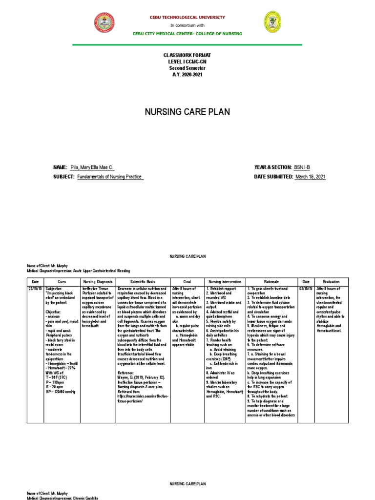 Nursing Care Plan: Classwork Format Level I CCMC-CN Second Semester A.Y ...