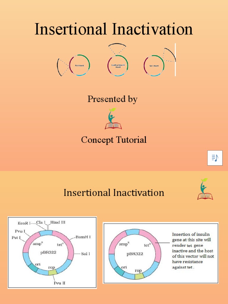 5 Insertional Inactivation | PDF