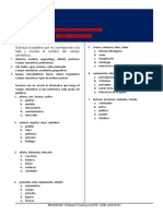 Ficha 10 Campo Semantico 4to