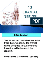 Cranial Nerves - All