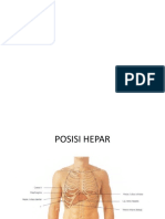 Anatomi Hepatibolier