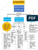 Mapa Conceptual Transgénicos