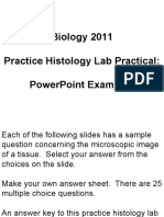 Biology 2011 Practice Histology Lab Practical: Powerpoint Examples