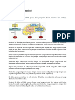 5.tahapan Respirasi Sel