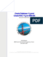 Oracle Database 11g and Oraclerac11g On Ibm