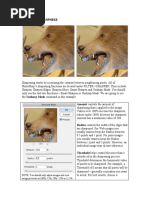 Adjusting Sharpness: Image Previews at 100%, 75%, 50%, 25% or 12.5%