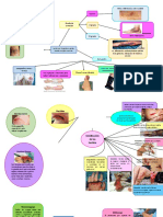 Mapas Conceptuales Contusion