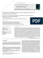 Upregulated Acetylcholine Synthesis During Early Differentiation in The Embryonic Stem Cell Line Cgr8