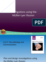 Investigations Using The Müller-Lyer Illusion