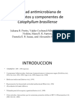 Actividad Antimicrobiana de Fragmentos y Componentes de Calophyllum