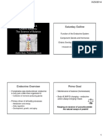 Saturday Outline: The Endocrine & Chakra Systems: The Science of Balance