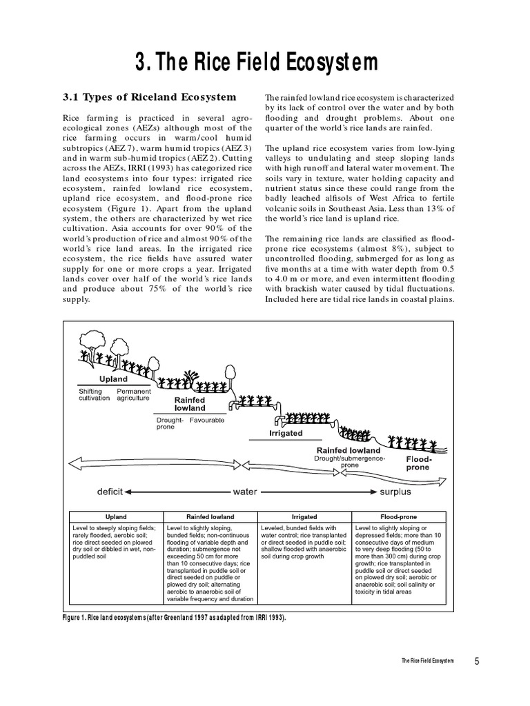Understanding the Diverse Rice Field Ecosystem Biology Diagrams