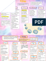 Division Celular (Mitosis y Meiosis)