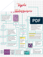 Tejido Cartilaginoso