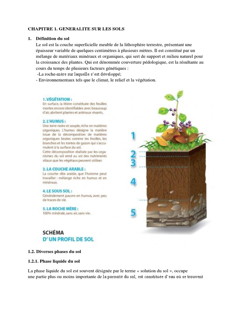 Généralités sur les sols et leurs propriétés | PDF | Sol (pédologie ...