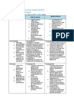 Camila Candela Ejercicio Matriz DOFA Semaforizacion