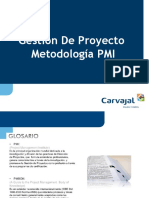 Gestion de Proyecto Metodología PMI