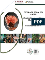 Ficha Técnica de Escoba Bruja Del Cacao