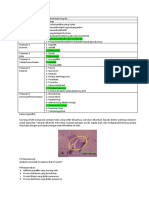 Soal - Vignete Sitohistoteknologi-Tini