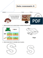 Guía Consonante S