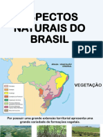 Aspectos Naturais Do Brasil 2021