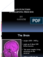 Brain Function in Learning Process