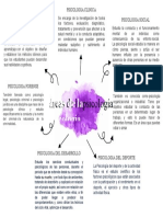 Areas de La Psicologia