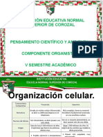 Componente Organísmico PDF