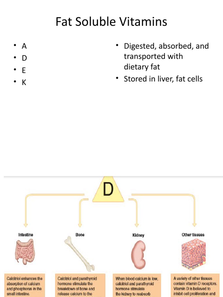 Fat Soluble Vitamins A D E K Digested, Absorbed, and Transported With Dietary Fat
