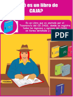 5.6 - 5.17 Rotafolio de Libro de Caja, Recaudos e Inventario