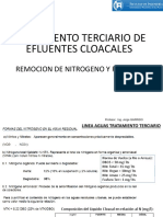 Efluentes Cloacales - Tratamientos Terciarios-2021