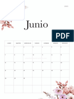 Junio Calendario PPI 2021 06