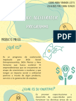 Mexico Accelerator Programme 