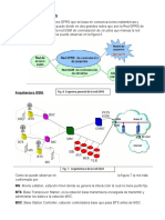 GPRSM-GSMDiagramas y Circuitos