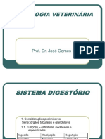 Histologia Veterinária 