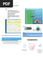WHO Rabies Vaccination Schedule 2024 | PDF