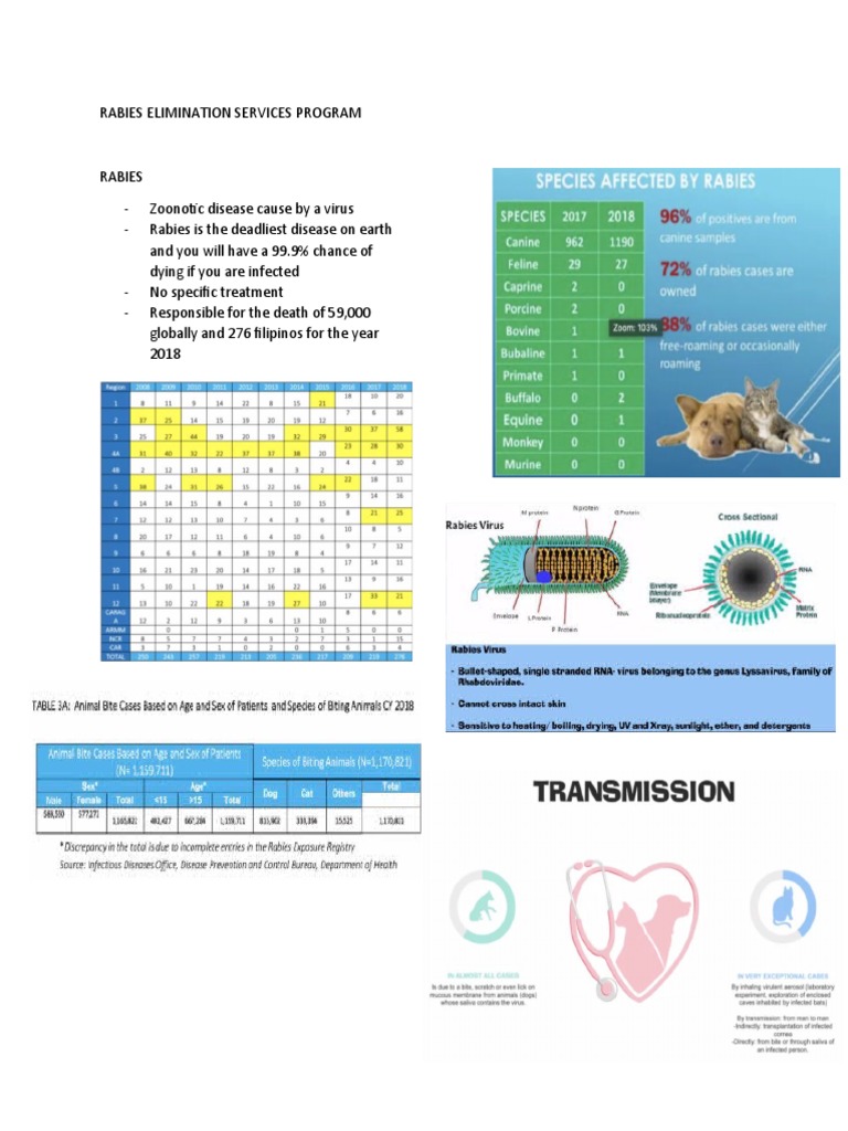 Rabies Elimination Services Overview | PDF | Rabies | Infection