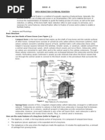 Download OPEN REDUCTION INTERNAL FIXATION by Sonia Letran Singson SN53261385 doc pdf