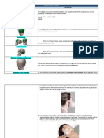 Spinal Column and Pelvis Palpation