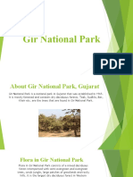 Explore Gir National Park, Home to Asiatic Lions